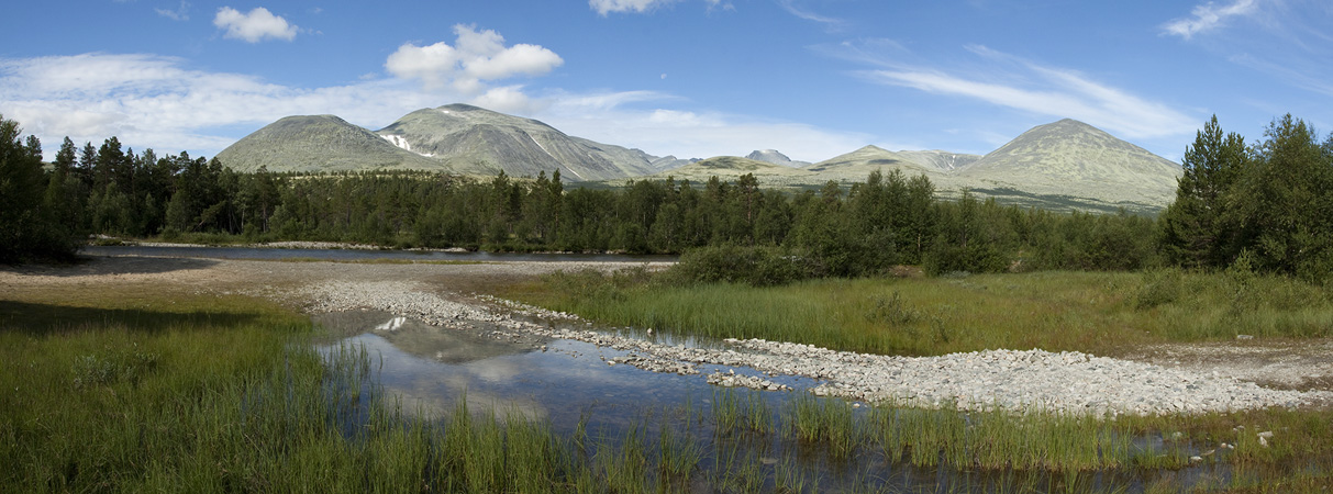 Rondane. Nad rzeką