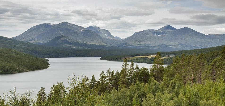 Rondane. Rzeka.